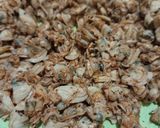 Foto langkah ke 2 dari resep Kerang Goreng Bumbu Mix Rub.