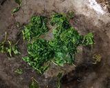 मेथीचा ठेचा (methi cha thecha recipe in marathi) रेसिपी स्टेप 2 फोटो 