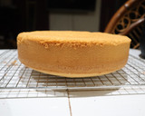 Foto del paso 10 de la receta: 🍰Pastel de Tres Leches 🍰