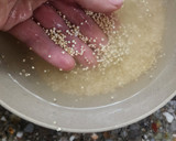 Foto del paso 1 de la receta: 🐟Medallones de merluza, quinoa y acelga al horno 🐟