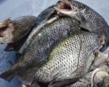 Foto langkah ke 1 dari resep Pepes ikan nila.