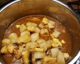 A picture of step 18 of Pressure Cooker Chinese Beef Rib and Tendon Stew.