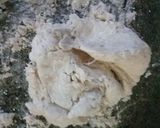 Foto del paso 1 de la receta: Pan casero