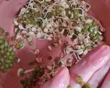 Foto del paso 6 de la receta: Brotes de mungo (mal llamados brotes de soja) 🌱 🫘