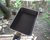 Foto langkah ke 3 dari resep Telur gulung keju rumput laut.