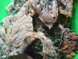 Kiripik bayam / goreng bayam