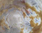 Foto del paso 1 de la receta: Salsa de ajo🍚🫓🥙