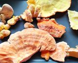 Grillezett gévagomba recept fázis 1 fotója