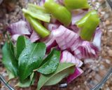 A picture of step 1 of Ivy Gourd Stir Fry.