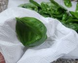 Foto del paso 2 de la receta: 🌱🧄 Pesto simple de albahaca - 3 ingredientes - Conservación ideal y máximo aprovechamiento 🧄🌱