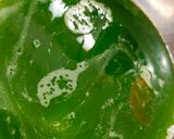 Foto langkah ke 3 dari resep 441. Puding Kelapa Lumut Pandan.