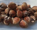 Foto langkah ke 1 dari resep Kerang Saus Padang.