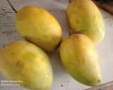 આમ રસ(aamras in Gujarati) રેસીપી સ્ટેપ1ફોટો