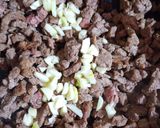 Foto del paso 2 de la receta: Empanadas de carne