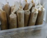 Foto langkah ke 11 dari resep Es Kacang Ijo.