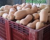 Une image de l'étape 3 de 🪹🪵Velouté potimarron châtaignes 🌰.