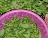 Foto langkah ke 1 dari resep Sayur Bening Daun Katuk.
