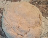 Foto del paso 4 de la receta: Paquetitos crocantes de membrillo