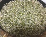 A picture of step 2 of Sprouts Mung sabji.