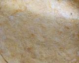 Foto del paso 3 de la receta: Empanada gallega
