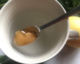 Foto del paso 2 de la receta: Infusión de María Luisa, para una buena digestión