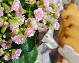 Foto del paso 17 de la receta: Galletas de Mantequilla & Vainilla 🐰🌸🍃