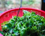 Hình bước làm 4 của món Bánh Xèo Tôm Thịt