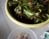 Foto langkah ke 5 dari resep 78. Tumis Pakis Merah.
