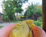Foto langkah ke 5 dari resep Sukun Kukus.