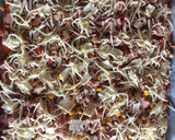 Foto del paso 2 de la receta: Pizza mixta