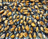 Une image de l'étape 4 de Moule froides mayo aux herbes et jus de cuisson.