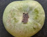 A picture of step 1 of Ash Gourd sabji.