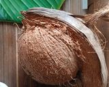 Foto langkah ke 1 dari resep Lemper Abon.