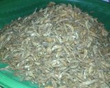 Foto langkah ke 5 dari resep Bilis KRISPY (Jukut Bilis ikan Bilis iwak Bilis).