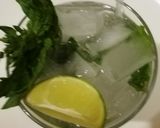 A picture of step 2 of Mojito recipe.