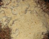 Foto del paso 2 de la receta: Mini albóndiguitas para copetin!!!