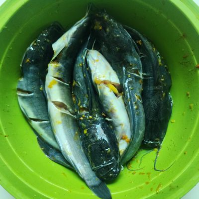 Langkah 1