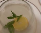 Mint lemonadematakin girki4 hoto