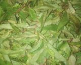 चेच भाजी (chech bhaji recipe in hindi) रेसिपी चरण 1 फोटो