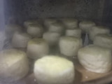 Scones para quedar de 10 siempre