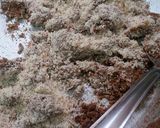 A picture of step 3 of Poppy seeds halwa.
