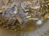 Bulgogi
