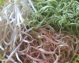 Hình bước làm 3 của món Bún sườn bò,chả lụa