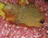 Foto del paso 4 de la receta: Hamburguesas caseras fáciles