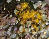 A picture of step 7 of Moong Dal.