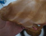 Foto langkah ke 2 dari resep Roti Sobek Moka Nutella.