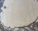 Foto del paso 7 de la receta: Bizcochos estilo popeyes