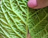 Foto del passaggio 1 della ricetta Lasagna di verza