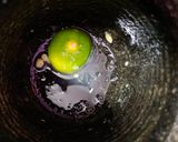 A picture of step 1 of Lemon Juice -in இடிக்கல்.