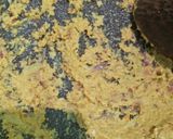 Foto langkah ke 1 dari resep Tongkol kuah kuning.